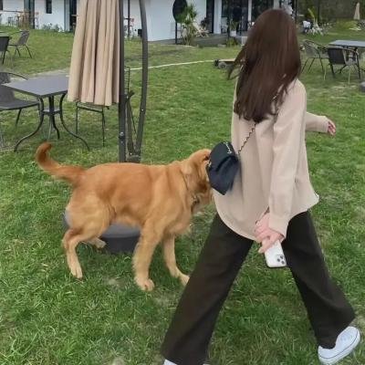 夏日不宜入爱河