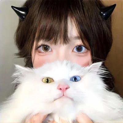 维希之眼